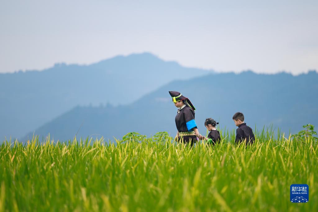 菠菜论坛担保