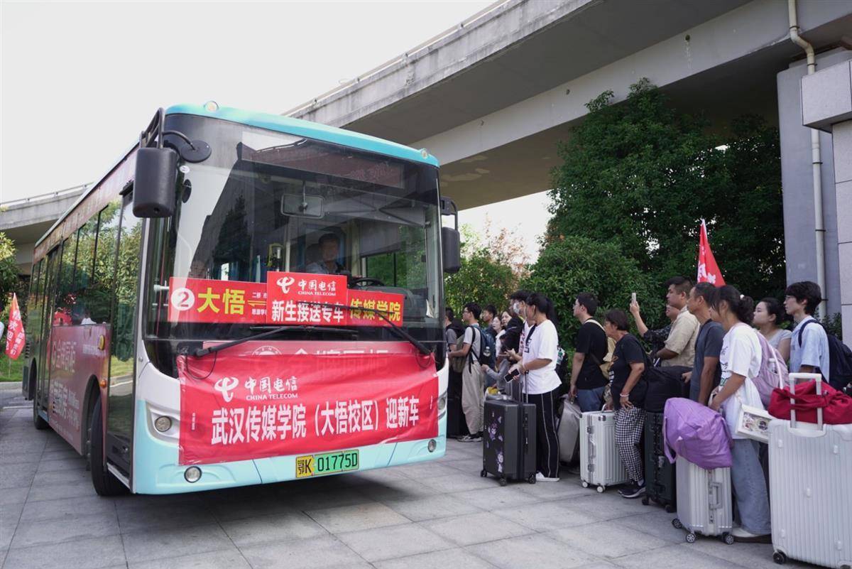 摇钱树app官网下载